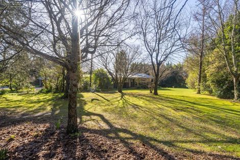 Photo of property in 61 Udy Street, Greytown, 5712