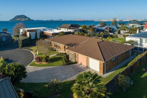 Photo of property in 3 Aylesbury Terrace, Otumoetai, Tauranga, 3110