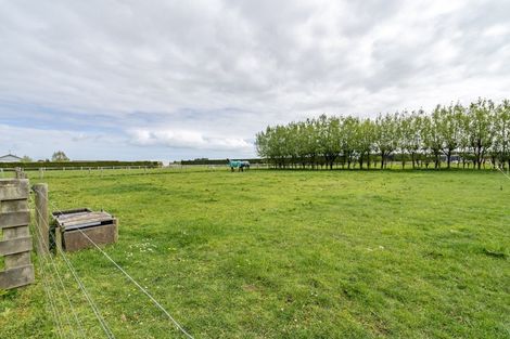 Photo of property in 644 Ryal Bush Wallacetown Road, Wallacetown, Invercargill, 9874