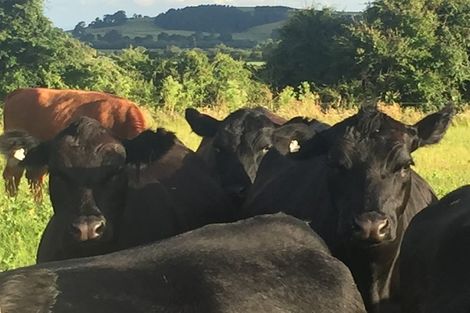 Photo of property in 941 German Road, Starvation Hill, Oxford, 7495