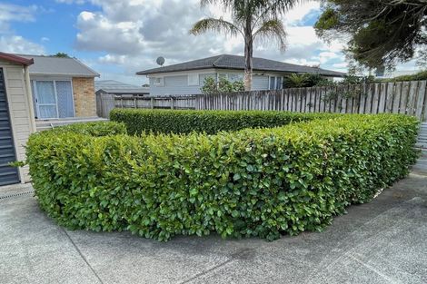 Photo of property in 135 Princes Street West, Pukekohe, 2120