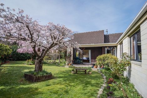 Photo of property in 15 Poplar Street, Gleniti, Timaru, 7910