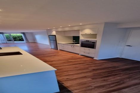 Photo of property in 67 Essex Street, Phillipstown, Christchurch, 8011