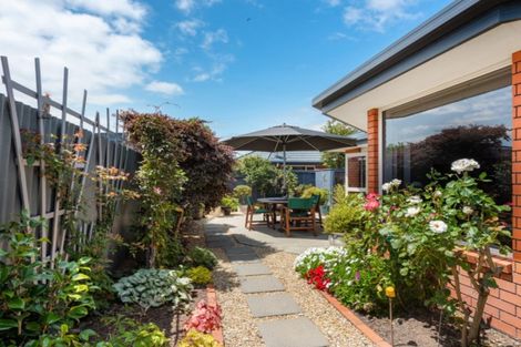 Photo of property in 12c Carvell Street, Blenheim, 7201