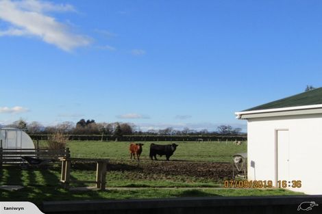 Photo of property in 56 George Street, Otautau, 9610