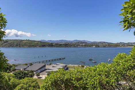 Photo of property in 31 Rata Road, Hataitai, Wellington, 6021