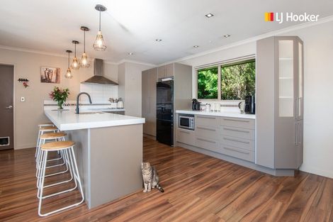 Photo of property in 1 Watt Street, Mosgiel, 9024