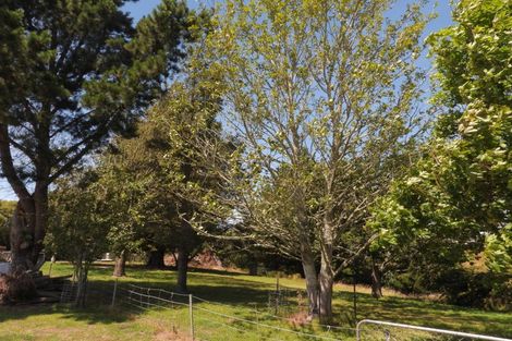 Photo of property in 15 Easons Road, Hampden, 9410