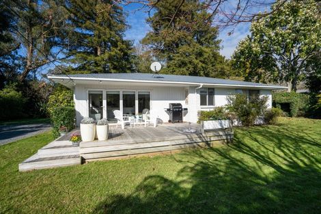 Photo of property in 7 Belloc Street, Leamington, Cambridge, 3432