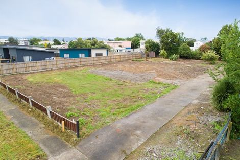 Photo of property in 94 Botanical Road, Takaro, Palmerston North, 4412