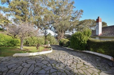 Photo of property in 49 Every Street, Andersons Bay, Dunedin, 9013