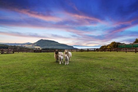 Photo of property in 25 Omori Road, Omori, Turangi, 3381