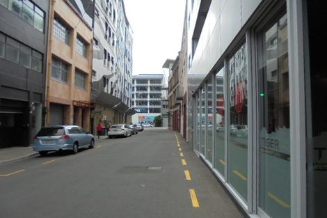 Photo of property in Monvie Apartments, 112/15 Holland Street, Te Aro, Wellington, 6011