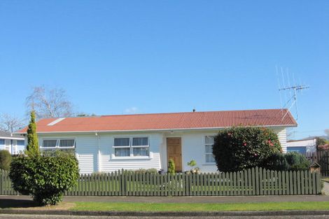 Photo of property in 9 Cobham Street, Levin, 5510