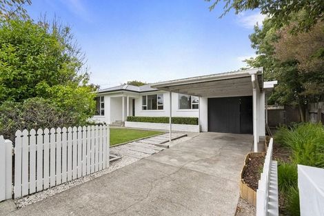 Photo of property in 63 Miro Street, Takaro, Palmerston North, 4410