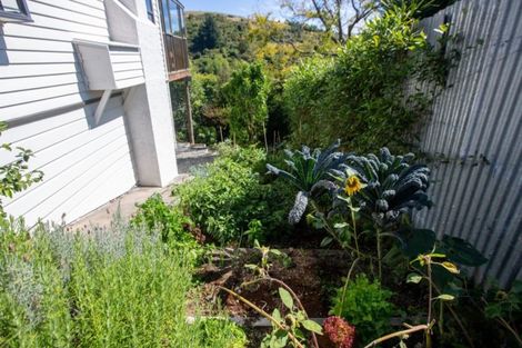 Photo of property in 7 Thompson Terrace, Toi Toi, Nelson, 7010