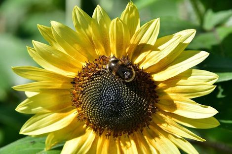 Photo of property in 76a Shakespear Road, Army Bay, Whangaparaoa, 0930