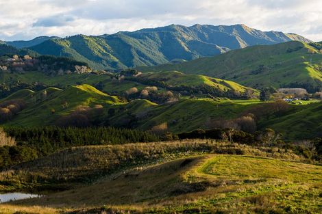 Photo of property in 276 Gaddums Hill Road, Outer Kaiti, Gisborne, 4010