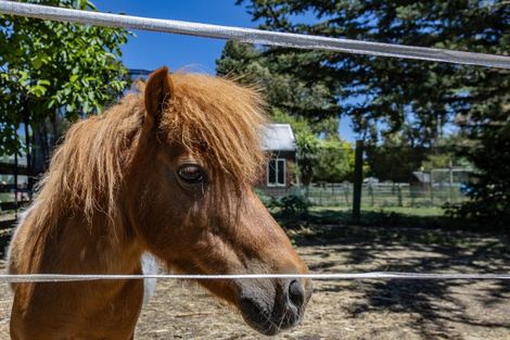 Photo of property in 122a Main Street, Oxford, 7430