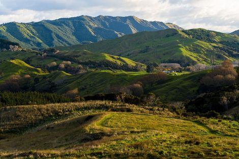 Photo of property in 276 Gaddums Hill Road, Outer Kaiti, Gisborne, 4010