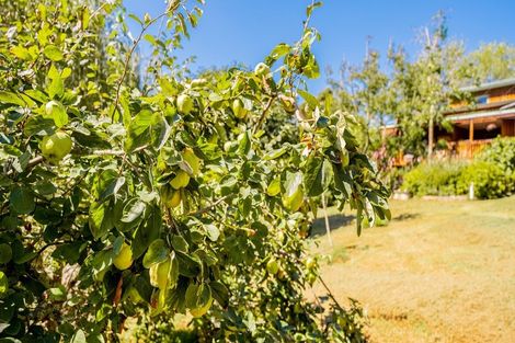 Photo of property in 146 Horseshoe Bush Road, Dairy Flat, Albany, 0794