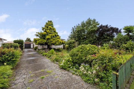 Photo of property in 910 Lawrence Street, Akina, Hastings, 4122