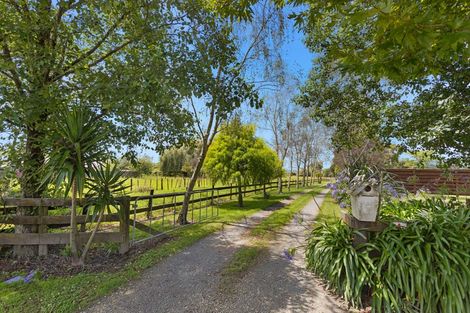 Photo of property in 4 Hydro Road, Edgecumbe, 3120