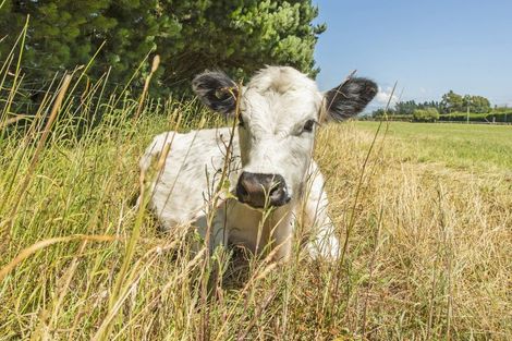 Photo of property in 543 Bangor Road, Darfield, 7571