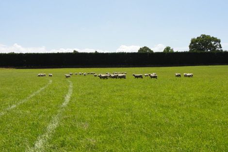 Photo of property in 56 Mina Road, Cheviot, 7382