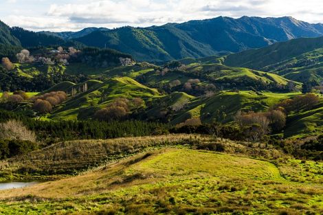 Photo of property in 276 Gaddums Hill Road, Outer Kaiti, Gisborne, 4010