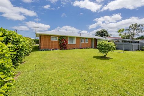 Photo of property in 12 Baden Street, Levin, 5510