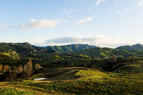 Photo of property in 276 Gaddums Hill Road, Outer Kaiti, Gisborne, 4010