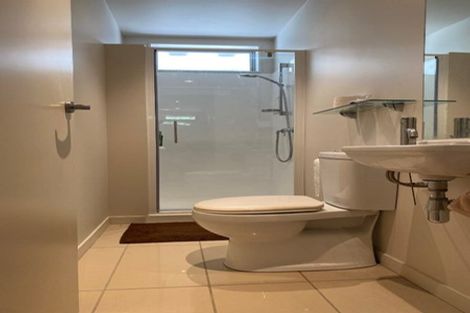 Photo of property in The Altair, 41/120 Rintoul Street, Newtown, Wellington, 6021