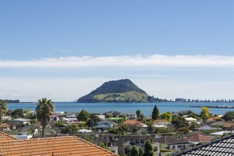 Photo of property in 94a Maxwells Road, Otumoetai, Tauranga, 3110