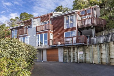 Photo of property in 148a Raroa Road, Aro Valley, Wellington, 6012