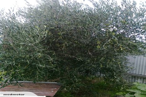 Photo of property in 139a Poranui Beach Road, Little River, 7591