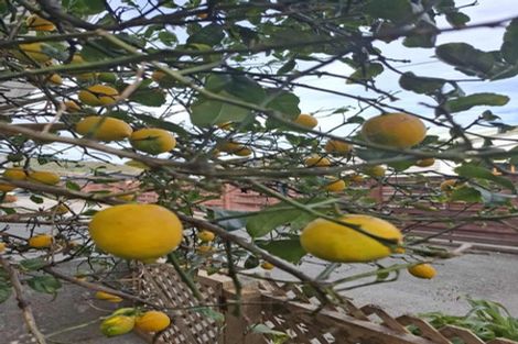 Photo of property in 44a Saint Ronans Avenue, Waterloo, Lower Hutt, 5011