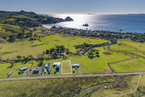 Photo of property in 136 Te Punga Road, Whangapoua, Coromandel, 3582