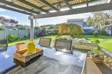 Photo of property in 31 Tanner Street, Havelock North, 4130