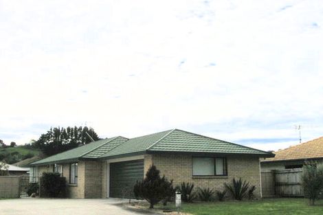 Photo of property in 40 Solomon Street, Brookfield, Tauranga, 3110