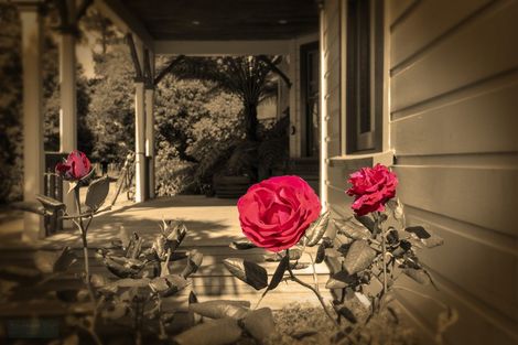 Photo of property in 6 Addington Road, Otaki, 5581