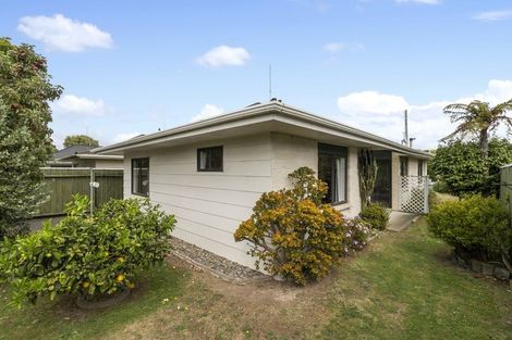 Photo of property in 332e Featherston Street, Palmerston North, 4414