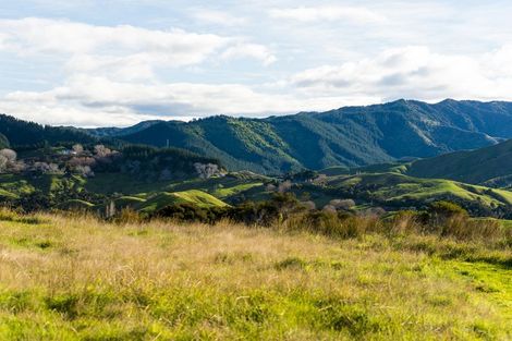 Photo of property in 276 Gaddums Hill Road, Outer Kaiti, Gisborne, 4010
