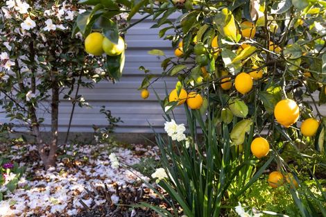 Photo of property in 12 River Terrace, Renwick, 7204