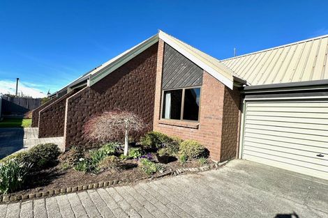 Photo of property in 22 Essex Street, Balclutha, 9230