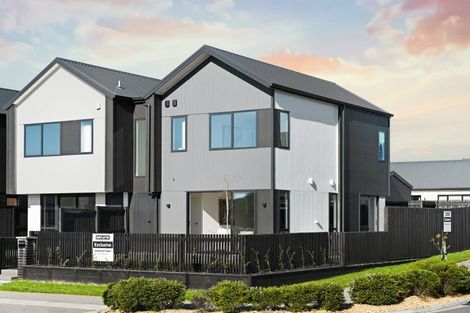 Photo of property in 44 Musselwhite Terrace, Chartwell, 3210