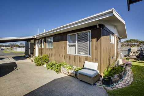 Photo of property in 43 Salisbury Avenue, Tamatea, Napier, 4112