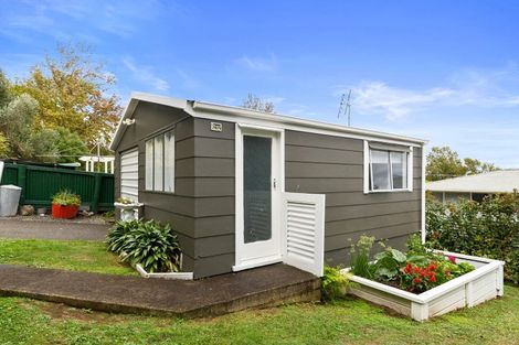 Photo of property in 17 Puriri Street, Te Aroha, 3320
