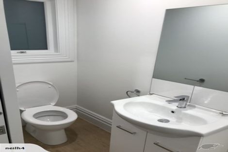 Photo of property in 23 Buchanan Street, Kingsland, Auckland, 1021