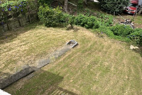 Photo of property in 28 Buchanan Street, Kingsland, Auckland, 1021